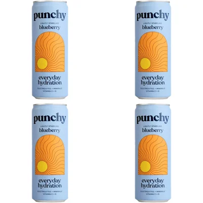 Punchy Everyday hydration blueberry 4-pack