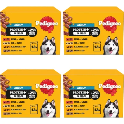 Pedigree Adult protein+ selectie in gelei 4-pack
