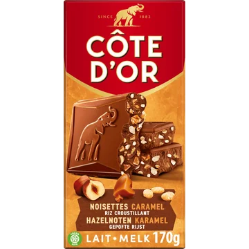 Cote D'or Melk Hazelnoot Chocolade Reep 170g