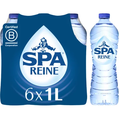 SPA REINE Natuurlijk Mineraalwater 6x 1L