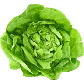 Jumbo Kropsla
