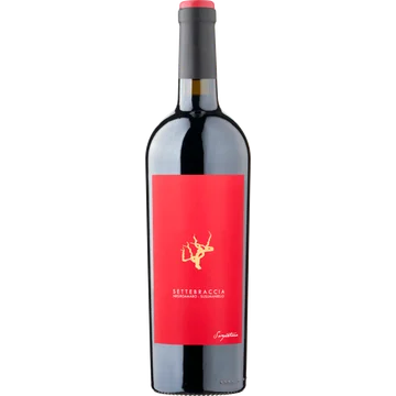 Settebraccia - Negroamaro - Susumaniello 750ML