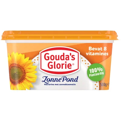 Gouda's Glorie Zonnepond