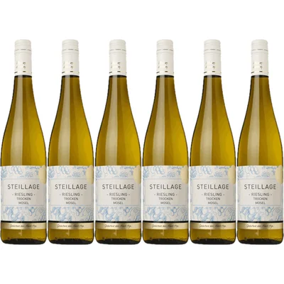 AH Excellent Selectie riesling 6 flessen