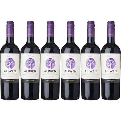 Aliwen Cabernet sauvignon carménère 6 flessen
