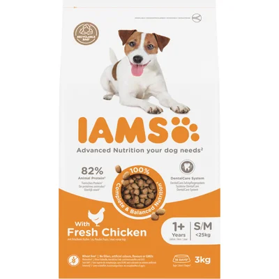 IAMS Adult with fresh chicken 1+ jaar