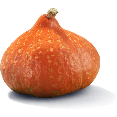 AH Biologisch Pompoen
