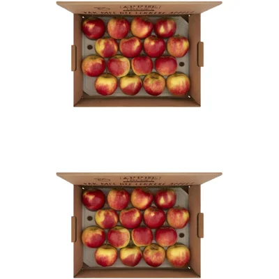 AH Fruitbox appels 2-pack