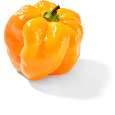 AH Adjuma peper