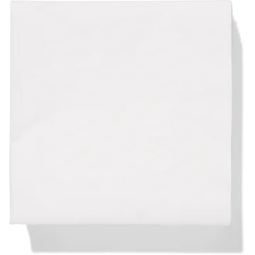 HEMA 50 pak servetten