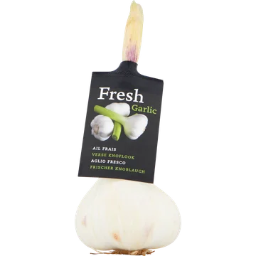 Verse Knoflook