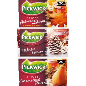 Pickwick Herfst Thee 3 x 20 Stuks