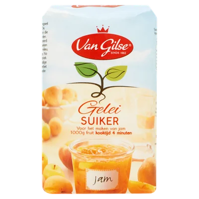 Van Gilse Geleisuiker Stazak 1000 g