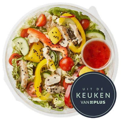 Uit de keuken van PLUS Salade mihoen met kip Bakje 477 g