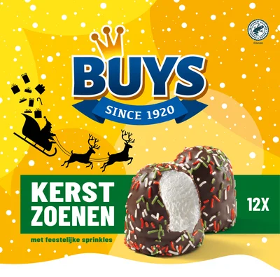 Buys Kerstzoenen Doos 12 st