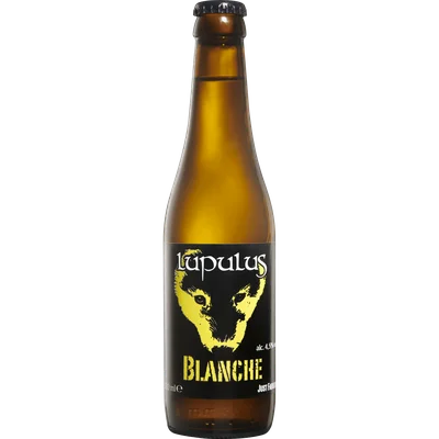 Lupulus Blanche