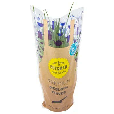 Bieslook grote pot