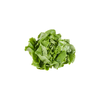 1 de Beste Kropsla