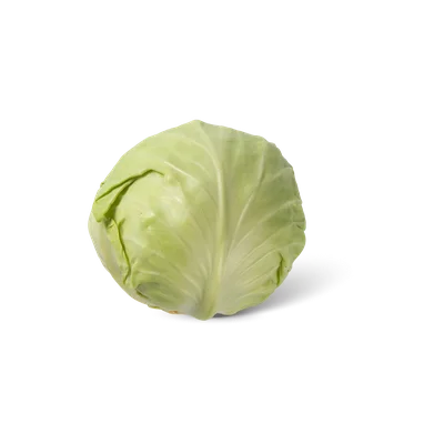Witte kool