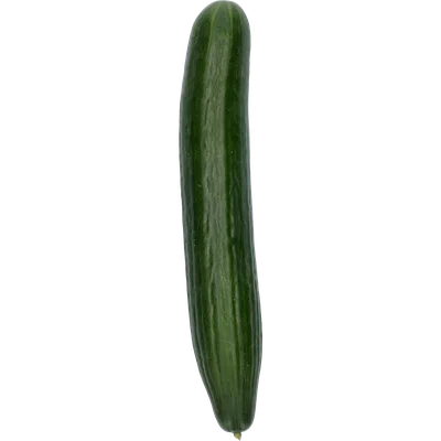 Bio komkommer