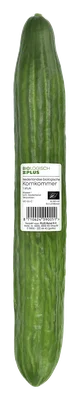Biologisch PLUS Brie