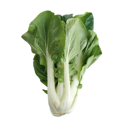 1 de Beste Paksoi