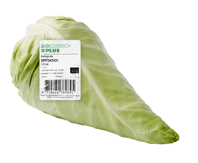 Biologisch PLUS Spitskool