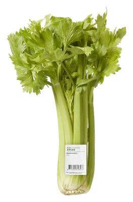 Biologisch PLUS Bleekselderij