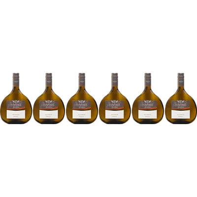 Divino Nordheim silvaner trocken 6 flessen