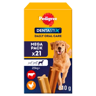 Pedigree Dentastix Maxi big pack 21ST Doos 810 g