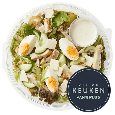 Uit de keuken van PLUS Caesar Salade Bakje 445 g