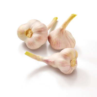 AH Verse knoflook
