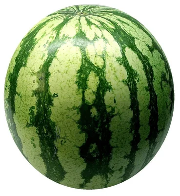 PLUS Watermeloen eetrijp