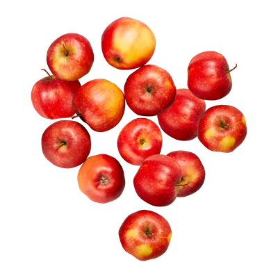 Hollandse Jonagold appels