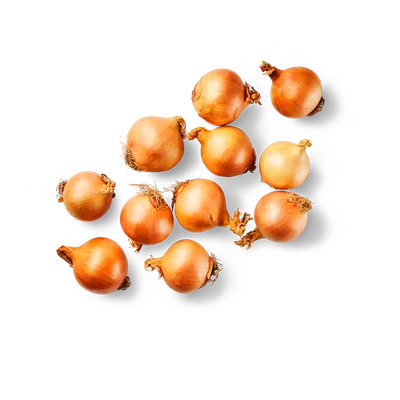 Gele uien