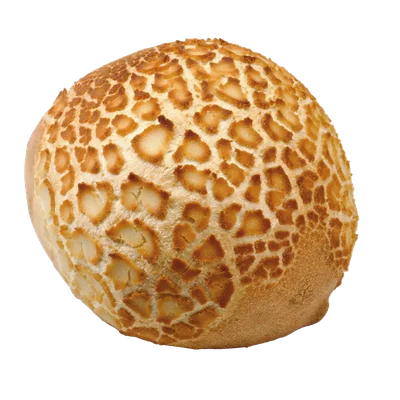 Tijgerbol