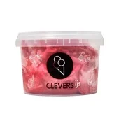 Clevers IJs roodfruit