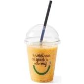 Foodclub smoothie perzik passievrucht