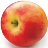 Agf Elstar appel