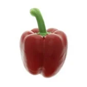 Agf paprika rood Bio+