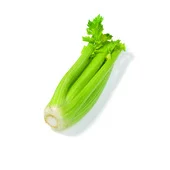 Agf bleekselderij