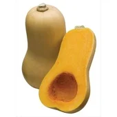 Agf fles pompoen