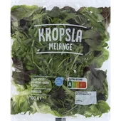 Neutraal sla krop melange