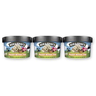 Ben & Jerry's Peanut butter cup 3-pack