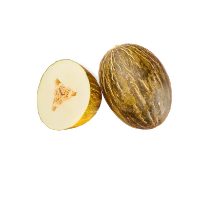 Piel de Sapo meloen