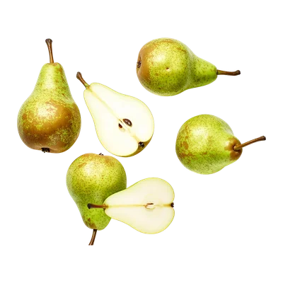 Doyenne du comice peren