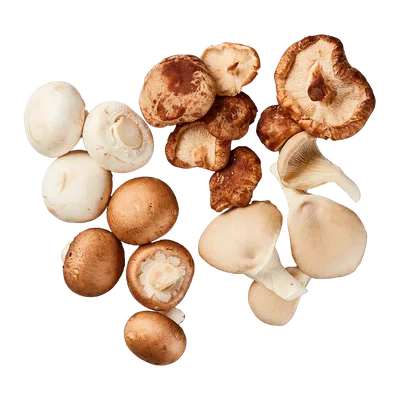 Zomermix paddenstoelen