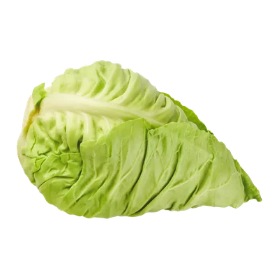 Spitskool