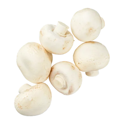 Grove champignons