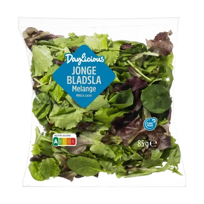 Daylicious Jonge bladsla melange